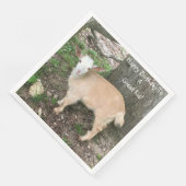 ハッピーバースデー愛らしいベビーヤギ (コーナー)