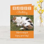 ハッピーバースデー撮る簡単猫フォトオレンジ カード (黄色い花)