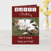 ハッピーバースデー撮る簡単猫フォトブルゴーニュ カード (黄色い花)
