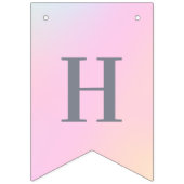 ハッピーバースデー春の色のバントフラグ バンティングフラッグ (第2の旗)