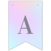 ハッピーバースデー春の色のバントフラグ バンティングフラッグ (第3の旗)