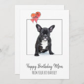ハッピーバースデー母と犬 シーズンカード (正面/裏面)