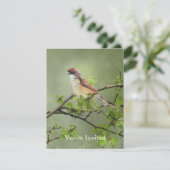 ハッピーバースデー水彩ホワイトスロートバードテーマ 招待状 (スタンド正面)