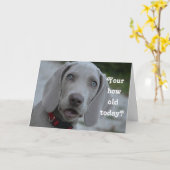 ハッピーバースデー犬のユーモア カード (黄色い花)