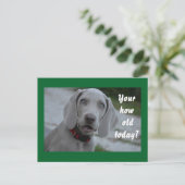 ハッピーバースデー犬のユーモア ポストカード (スタンド正面)