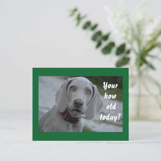 ハッピーバースデー犬のユーモア ポストカード (スタンド正面)