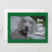 ハッピーバースデー犬のユーモア ポストカード (正面/裏面)
