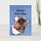 ハッピーバースデー犬の臭いケーキ動物おもしろい カード (正面)