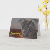 ハッピーバースデー犬 カード (黄色い花)