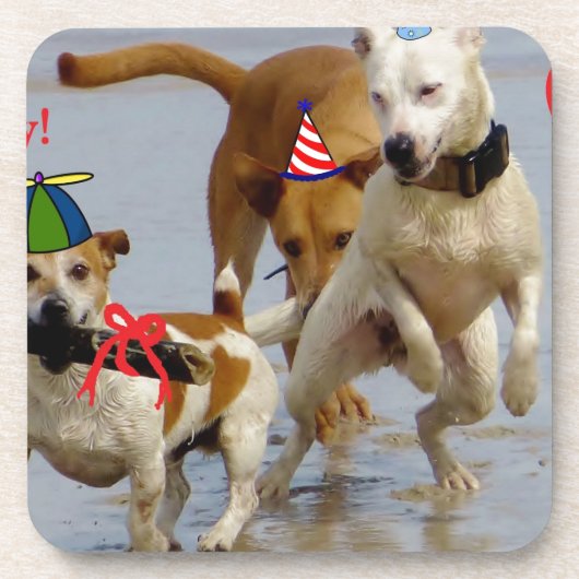 ハッピーバースデー犬 コースター (正面)