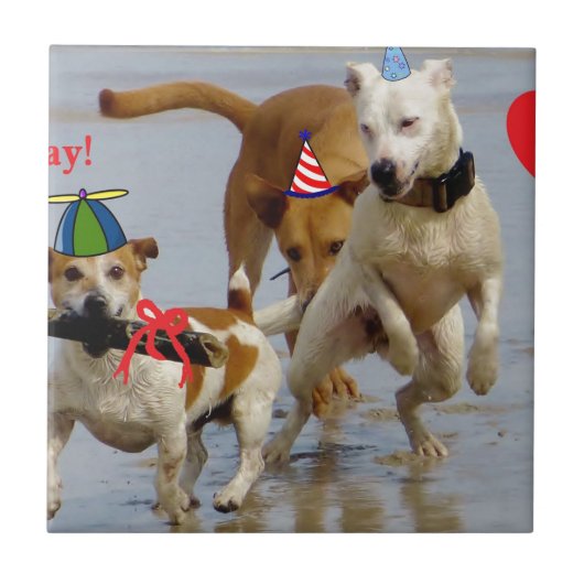 ハッピーバースデー犬 タイル (正面)