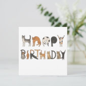 ハッピーバースデー猫レタリングカード可愛いおもしろい猫 シーズンカード (スタンド正面)