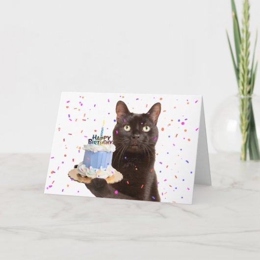 ハッピーバースデー猫保持誕生日猫 シーズンカード (正面)
