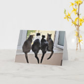 ハッピーバースデー猫好きカード カード (黄色い花)