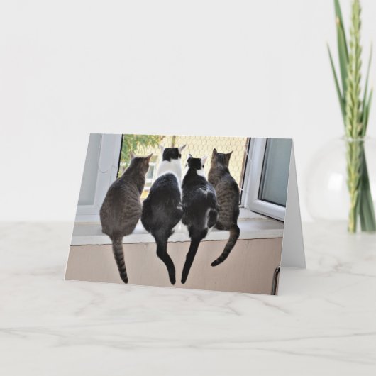 ハッピーバースデー猫好きカード カード (正面)