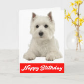 ハッピーバースデー白い高地テリアの小犬 カード (黄色い花)