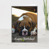 ハッピーバースデー眠いボクサーのパピースグリーティングカード カード (正面)