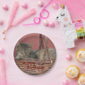 ハッピーバースデー睡眠子猫紙プレート ペーパープレート (パーティー)