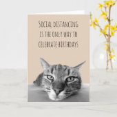 ハッピーバースデー社交的なグランプ猫 カード (黄色い花)