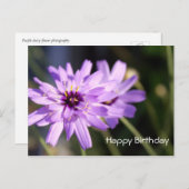 ハッピーバースデー紫エレガントデイジー花 ポストカード (正面/裏面)
