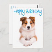 ハッピーバースデー縁どコリーパピードグポストカード ポストカード (正面/裏面)