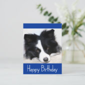 ハッピーバースデー縁どコリーパピードグポストカード ポストカード (スタンド正面)