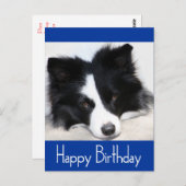 ハッピーバースデー縁どコリーパピードグポストカード ポストカード (正面/裏面)