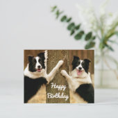 ハッピーバースデー縁どコリーパピードッグ素朴 ポストカード (スタンド正面)