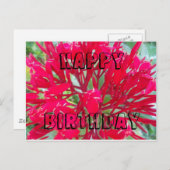 ハッピーバースデー美しい赤い花はがき ポストカード (正面/裏面)