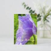 ハッピーバースデー花 ポストカード (スタンド正面)