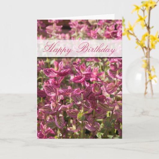 ハッピーバースデー葉ピンクのが植物の茎の写真に カード (黄色い花)