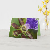 ハッピーバースデー蘭 カード (黄色い花)
