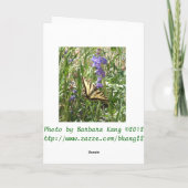 ハッピーバースデー蝶 カード (裏面)