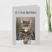 ハッピーバースデー見ていないエイジおもしろい猫 カード (正面)