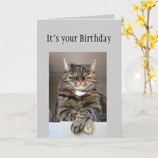 ハッピーバースデー見ていないエイジおもしろい猫 カード (黄色い花)