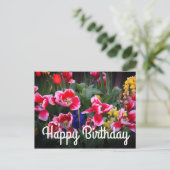 ハッピーバースデー赤と白チューリップ葉書 ポストカード (スタンド正面)