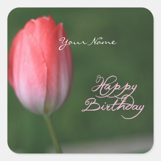ハッピーバースデー赤チューリップ花 スクエアシール (正面)