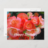 ハッピーバースデー赤ベゴニア ポストカード (正面/裏面)