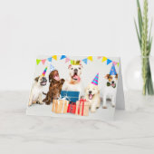 ハッピーバースデー野生パーティー動物 カード (正面)