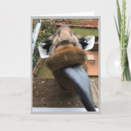 ハッピーバースデー野生生物キス シーズンカード