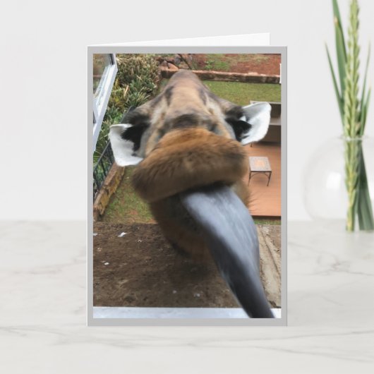 ハッピーバースデー野生生物キス シーズンカード (正面)