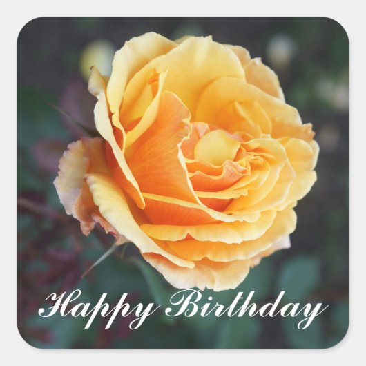 ハッピーバースデー顔バラ#3 Stickers スクエアシール (正面)