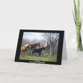 ハッピーバースデー馬 カード (裏面)