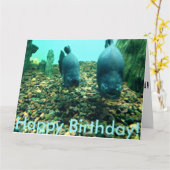 ハッピーバースデー魚 カード (黄色い花)