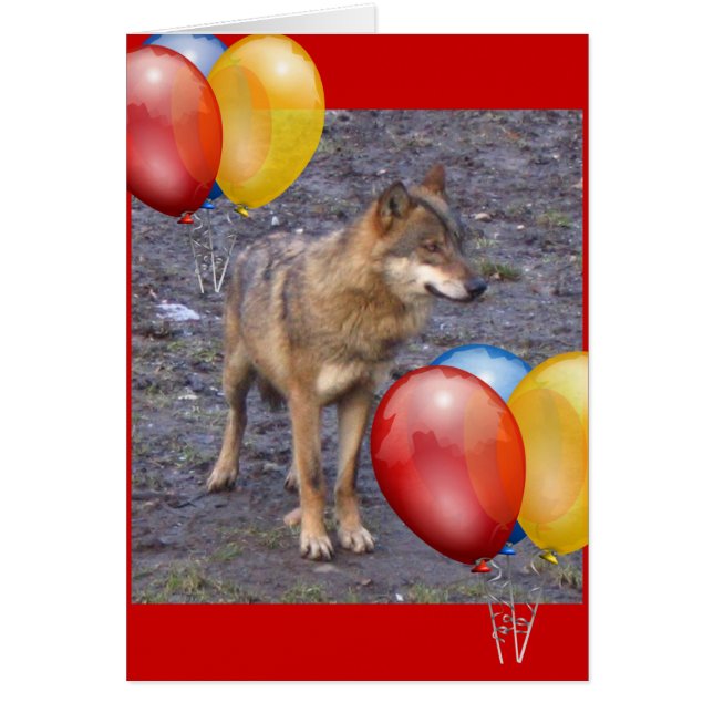 ハッピーバースデー! (正面)