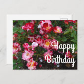 ハッピーバースデー7月4日バラ#1はがき ポストカード (正面/裏面)