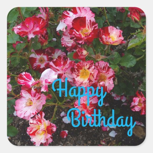 ハッピーバースデー7月4日バラ#1ステッカー スクエアシール (正面)
