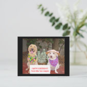 ハッピーバースデー! おもしろいのカップルから ポストカード (スタンド正面)
