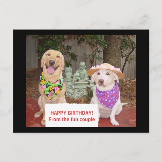 ハッピーバースデー! おもしろいのカップルから ポストカード (正面)