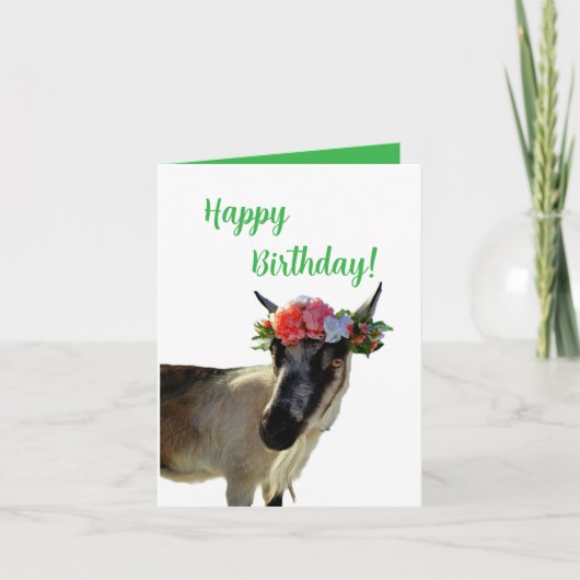 ハッピーバースデー!お前の子かお気に入りのら 招待状 (正面)